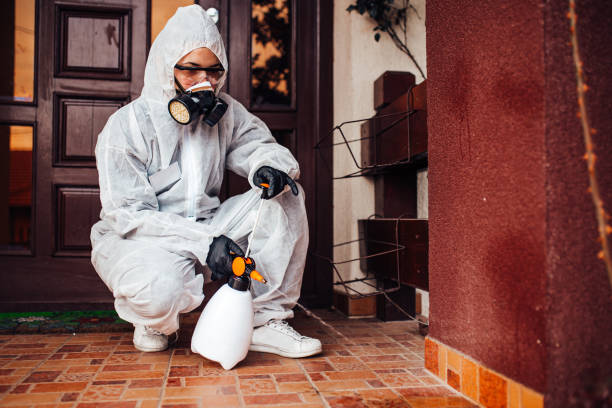Reliable Bed Bug Control contractor in Edgemere, MD by Nex Pest Control